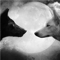 草原上有两匹狼,一匹是黑暗与绝望;一匹是光明与希望.