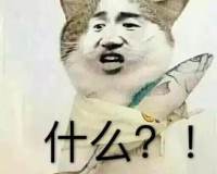 猫咪恶搞表情包 猫咪恶搞表情包暴走