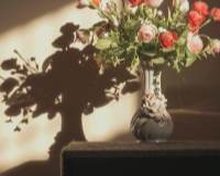 生活中的温馨简约手机高清壁纸图片给花瓶插上一束花增添美好