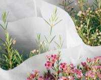 清新淡雅的一束束鲜花壁纸图片会自己买花，也会自己长大