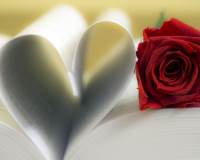 浪漫情人节精选书本爱心旁的红色玫瑰图片