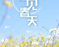 在黄色花丛里遇见春天·小清新文艺春日图片