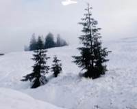 唯美冬至雪地风景高清壁纸图片