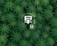 早安梦想小清新绿色植物背景壁纸图片