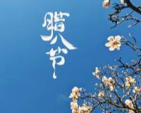 腊八节精选蓝天下盛开的梅花清新迷人图片