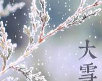 冬天大雪节气雪花飘扬落满枝头的唯美文字图片