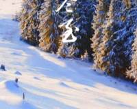 冬至雪景唯美高清风景手机壁纸图片