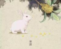 二十四节气寒露之桂花树下的小白兔手绘插画高清精选图片