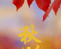唯美红色枫叶秋分文字图片