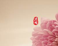 清明节唯美花卉桌面壁纸图片