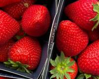 红彤彤的水果图片草莓高清手机竖屏壁纸