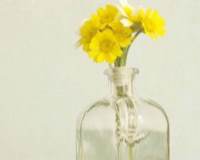 疲惫生活中的一点光亮-玻璃瓶中的黄色花束图片