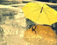情侣雨天打伞唯美图片 情侣雨天撑伞图片唯美