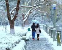情侣雪中漫步图片 情侣下雪天漫步图片