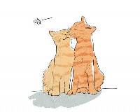 可爱的卡通猫咪头像_宠物猫情侣头像图片