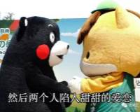 熊本熊表情包你有哪些搞笑的_熊本熊表情包全部