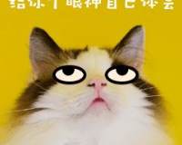 翻白眼无语冷漠猫咪宠物GIF萌宠表情包图片