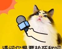 升温热夏天晒猫咪宠物GIF动图表情包图片