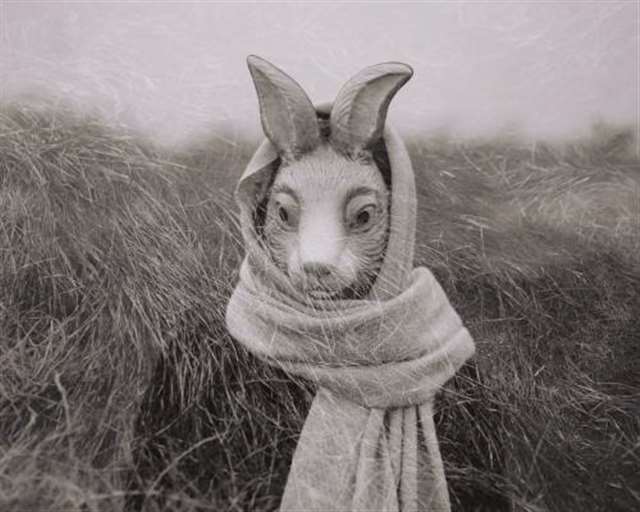 美国杀人兔面具图片_高清图库