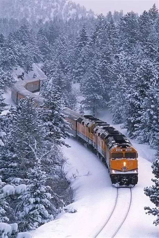 火车不仅能带你去远方,还能带你去看最美的风景_配图大全
