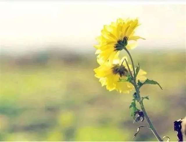 表达非常想念,思念一个人的句子