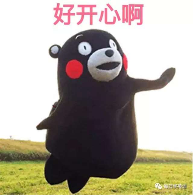 那真是一次开心愉快的谈话 发自内心的开心 pleased i was pleased