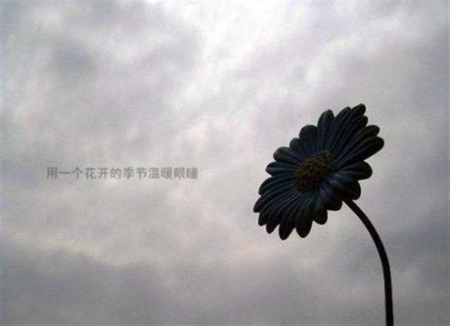 文字,不忧伤