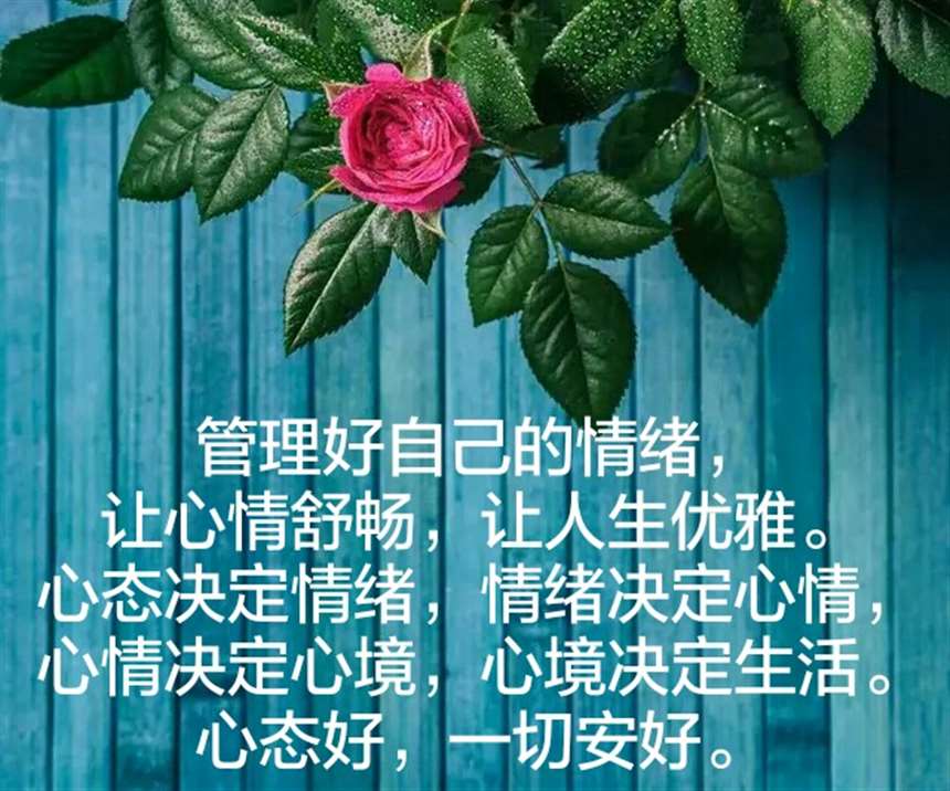心态决定情绪,情绪决定心情,心情决定心境,心境决定生活.