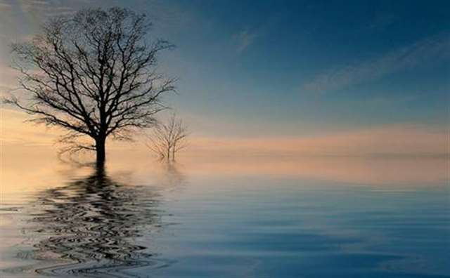 坦然面对周围的一切