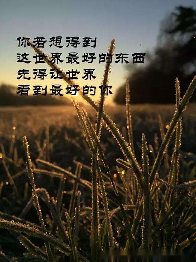 当一个人能够勇敢的面对生活,无论怎样的困难都能坦然面对的时候,我