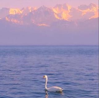 第一眼就吸引人的头像好看唯美图片-528时尚网