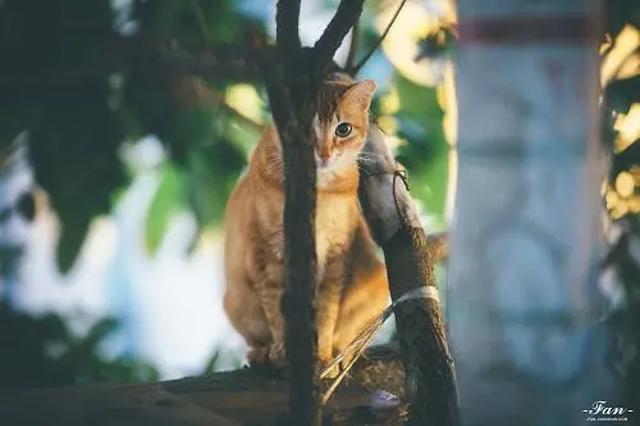 想入非非感伤带字女生头像图片,别回忆了_带字_520头像网