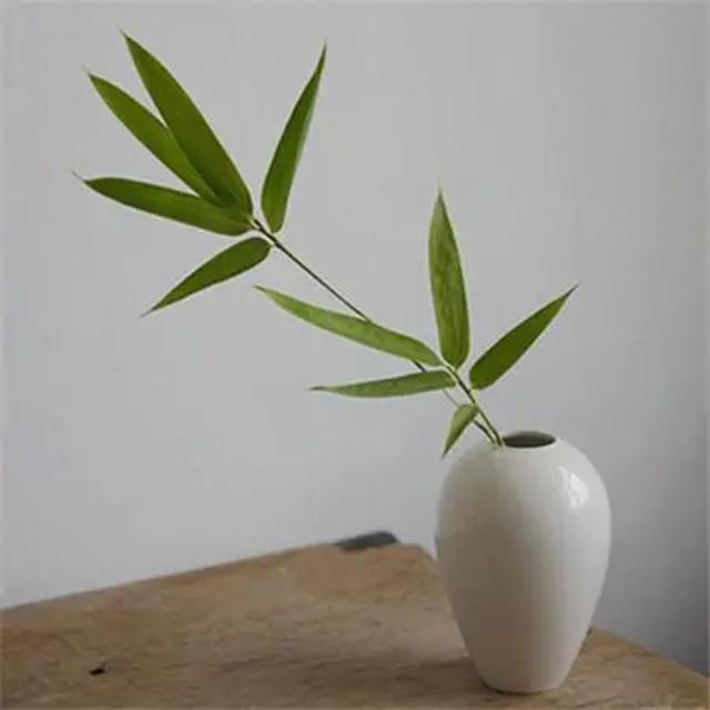 让人看了就静心的图片_看淡心静的唯美图片
