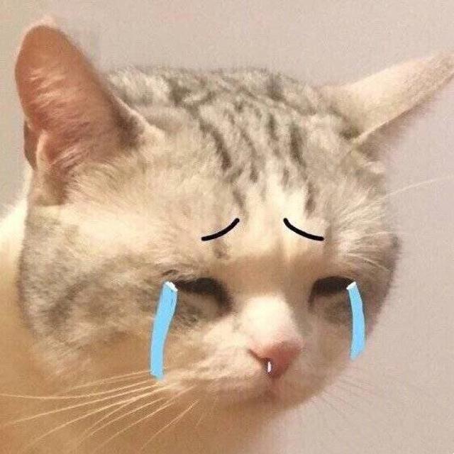 喵星人流泪流泪猫猫头表情包