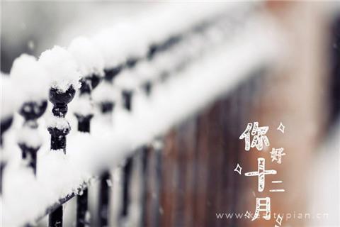 十二月你好背景图（12月份你好图片）