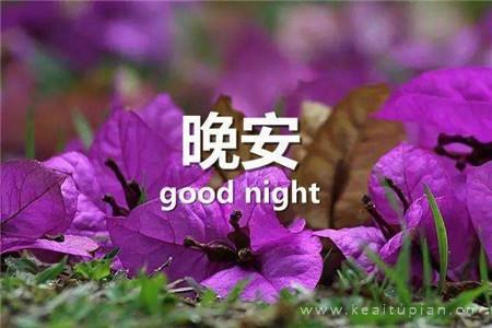 晚安最美图片晚安朋友圈带字-晚安图片带字温馨图片发朋友圈