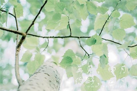 五月图片带字图片大全2022_四月再见五月你好图片女孩
