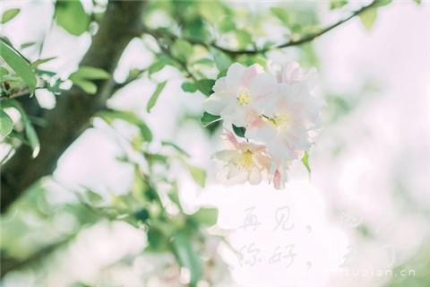 五月图片带字图片大全2022_四月再见五月你好图片女孩