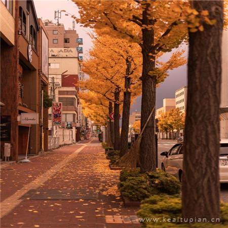 个性背景图片唯美微信_好看微信背景图唯美