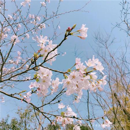 冷淡风朋友圈背景图-朋友圈背景图片简约清新