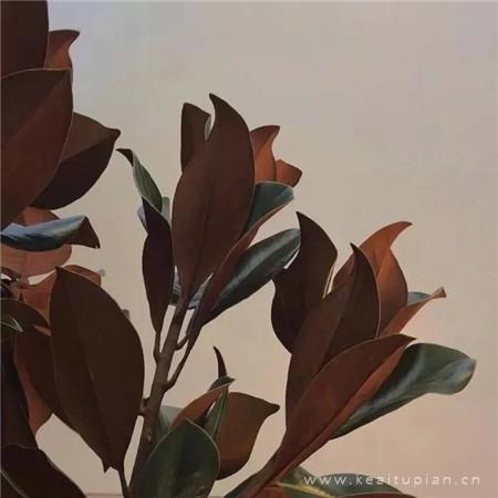 朋友圈背景图高级质感 气质朋友圈背景图高清