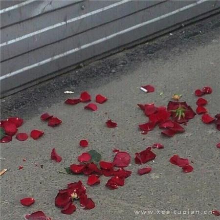 朋友圈背景图高级质感 气质朋友圈背景图高清
