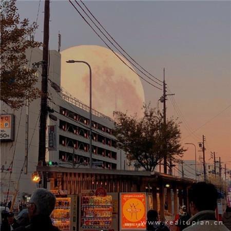 好看又精致的背景图|超级好看的背景图片简约唯美