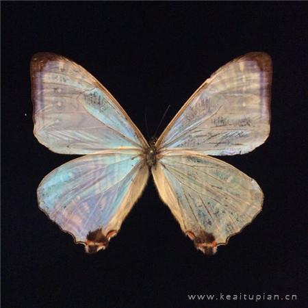 好看又精致的背景图|超级好看的背景图片简约唯美