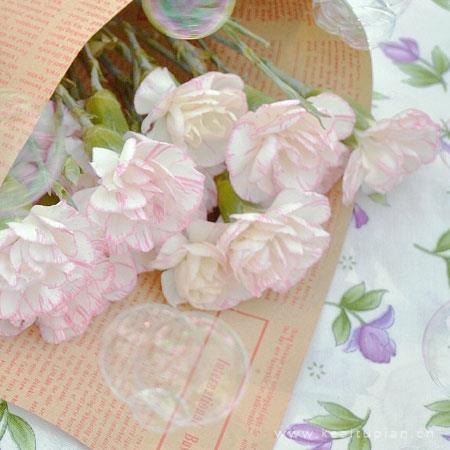 唯美图片清新简约2022 2022新年鲜花图片