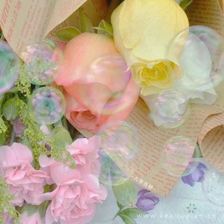 唯美图片清新简约2022 2022新年鲜花图片