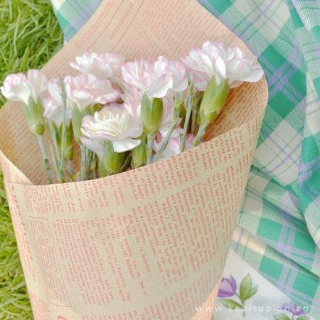 唯美图片清新简约2022 2022新年鲜花图片