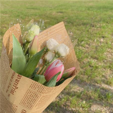 图片静物唯美|唯美小清新静物图片