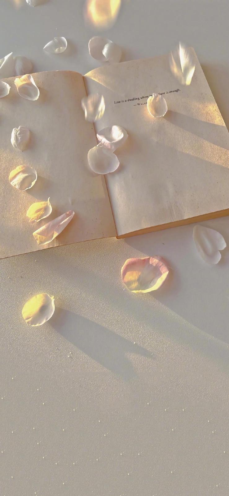 适合女生的花卉唯美壁纸手机图片|2022好运加倍浪漫不止