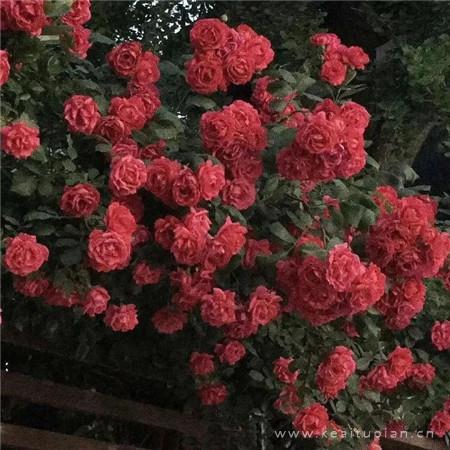 2022你好图片朋友圈背景-2022年最好看的朋友圈图片